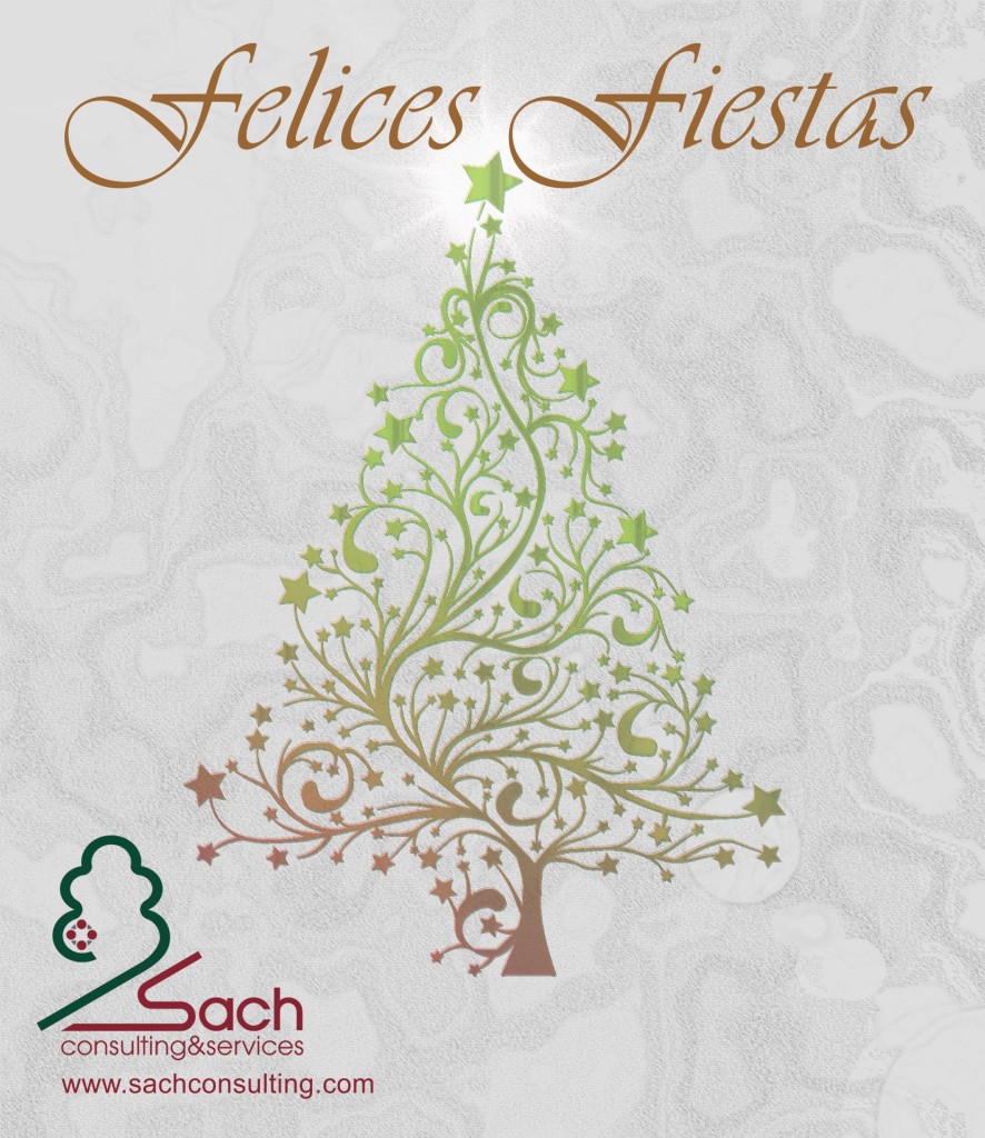 Christmas Sach Consulting